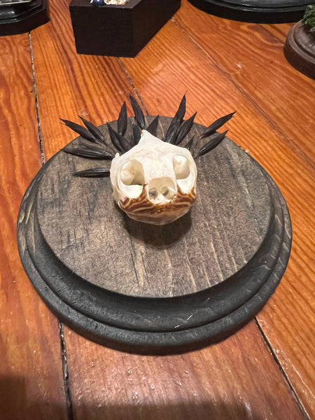 Turtle skull mini plaque