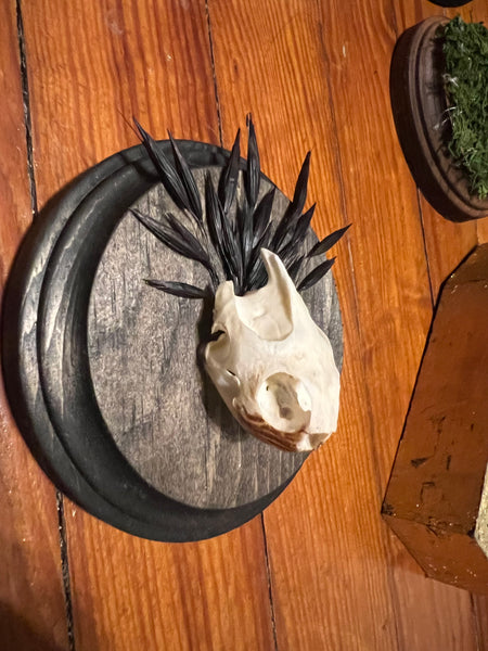 Turtle skull mini plaque