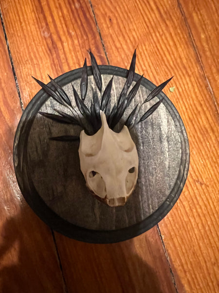 Turtle skull mini plaque