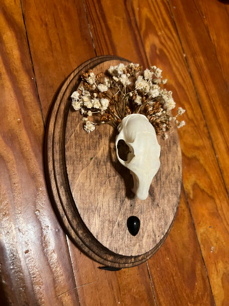 Squirrel skull plaque