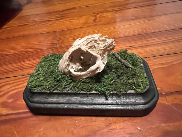 Rabbit skull mini plaque