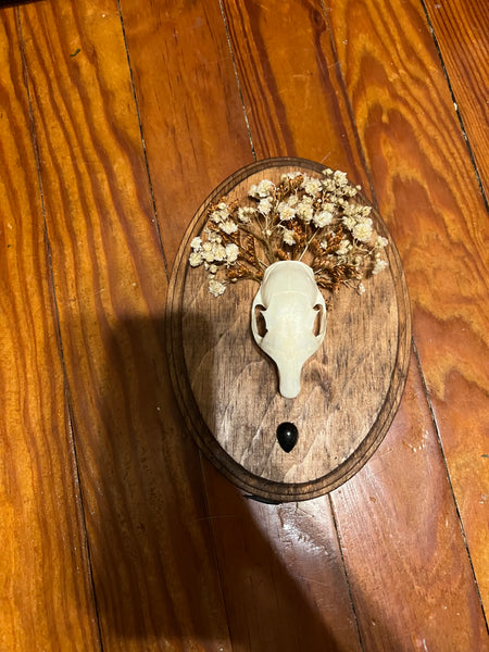 Squirrel skull plaque