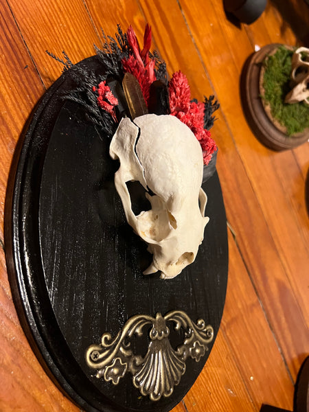 Otter skull plaque